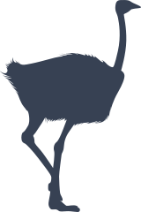 Realistic Ostrich Sticker