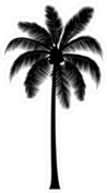 Realistic Palm Tree Silhouette Sticker