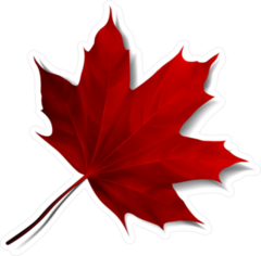 Realistic Red Maple Leaf Sticker