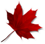 Realistic Red Maple Leaf Sticker
