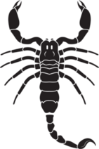 Realistic Scorpion Shaped Sticker