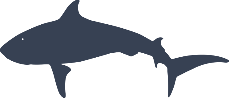 Realistic Shark Sticker