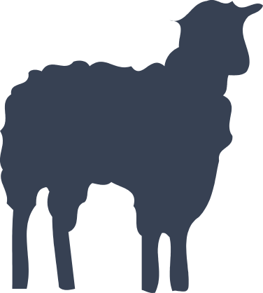 Realistic Sheep Lamb Sticker