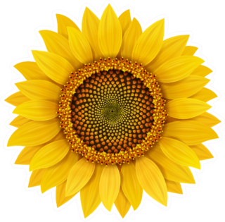 Realistic Sunflower Sticker