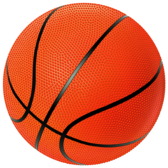 Realistic Vector Basketball Sticker