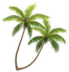 Realistic Vector Palm Trees Sticker