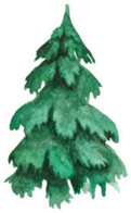 Realistic Watercolor Christmas Tree Sticker