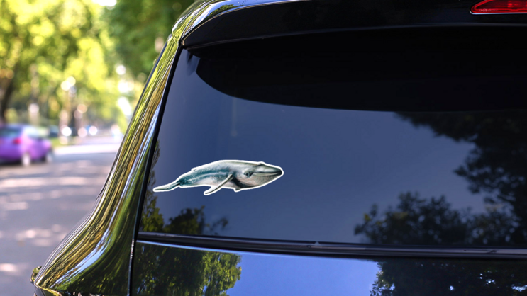 Realistic Watercolor Whale Swimming Sticker on a Rear Car Window (New) example