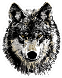 Realistic Wolf Head Sticker