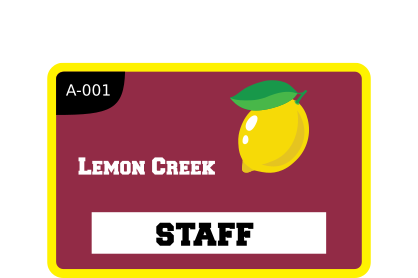 Rectangle With Border Parking Permit Sticker