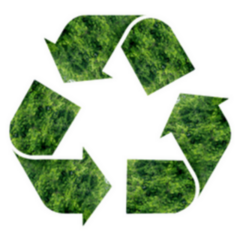 Recycling Symbol Made Of Leaves & Nature Sticker