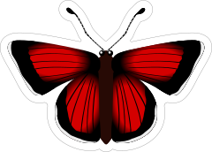 Red and Black Butterfly Sticker