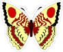 Red and Yellow Butterfly Sticker