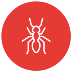 Red Ant Circle Sticker