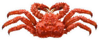 Red Brown King Crab Sticker