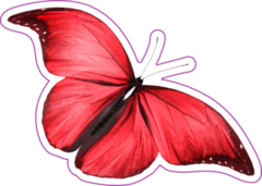 Red Butterfly Sticker