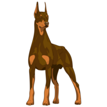 Red Doberman Sticker