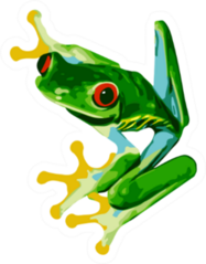 Red Eye Tree Frog Of Costa Rica Sticker