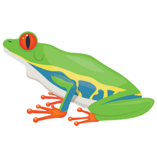 Red Eyed Tree Frog Illustration Sticker