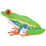 Red Eyed Tree Frog Illustration Sticker