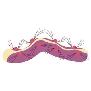 Red Funky Caterpillar Sticker