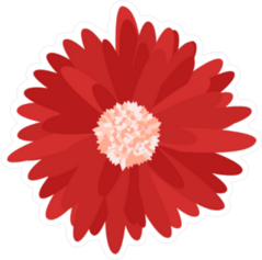Red Gerbera Daisy Sticker