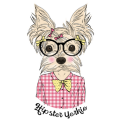Red Gingham Yorkie Sticker