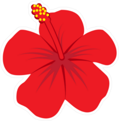 Red Hibiscus Flower Illustration Sticker