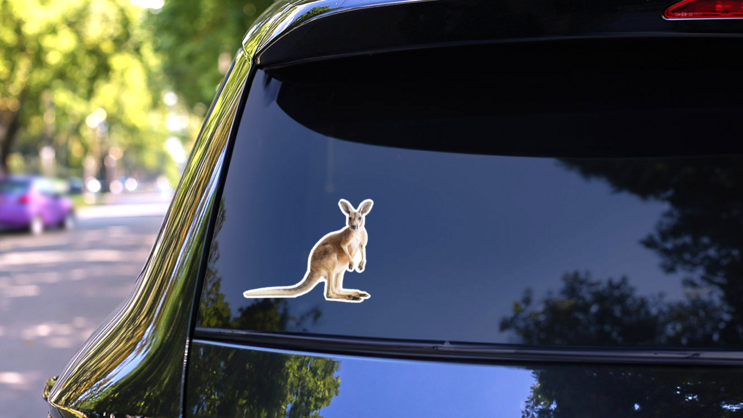 Red Kangaroo On White Sticker on a Rear Car Window (New) example