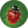 Red Ladybug On Green Sticker
