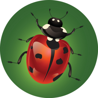 Red Ladybug On Green Sticker