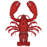 Red Lobster Illustration Sticker