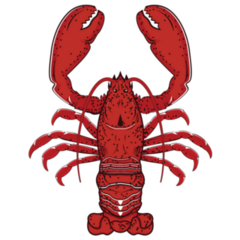Red Lobster Illustration Sticker