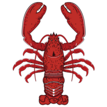 Red Lobster Illustration Sticker