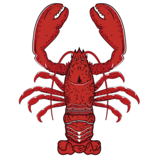 Red Lobster Illustration Sticker