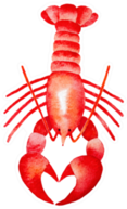 Red Lobster Watercolour Illustration Sticker