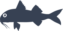 Red Mullet Fish Sticker