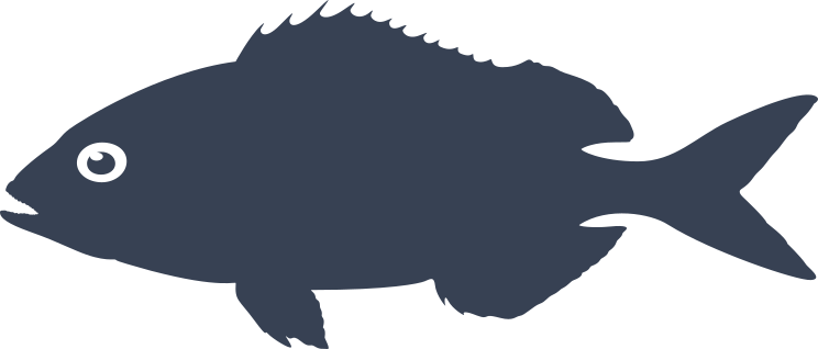 Red Sea Bream Fish Sticker