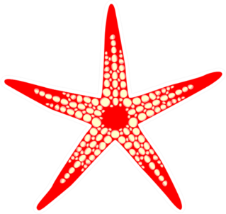 Red Starfish On Isolated Sticker