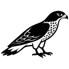 Red-tailed Hawk Sticker