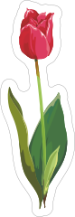 Red Tulip Flower Sticker