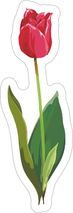 Red Tulip Flower Sticker