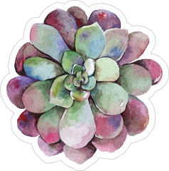 Red Watercolor Succulent Sticker