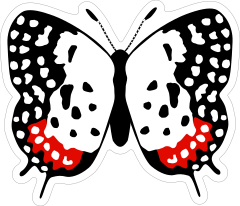 Red White and Black Butterfly Sticker