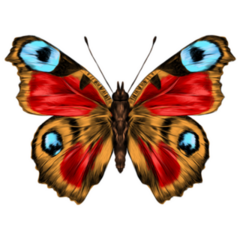 Red, Yellow and Blue Detailed Butterfly Sticker