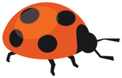 Reddish Orange Ladybug Sticker