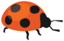 Reddish Orange Ladybug Sticker