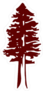 Redwood Tree Icon Sticker
