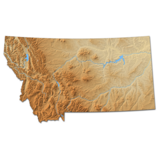 Relief Map Of Montana  3d-rendering Sticker