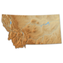 Relief Map Of Montana  3d-rendering Sticker